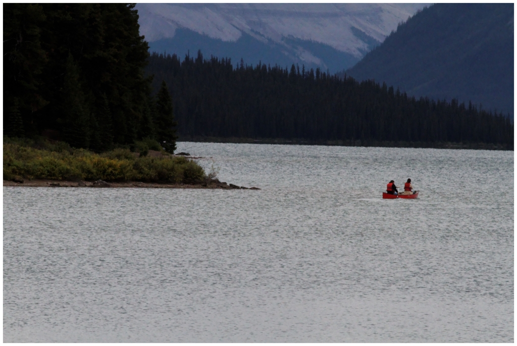 05 - Jasper NP (23) - Lac Maligne.jpg